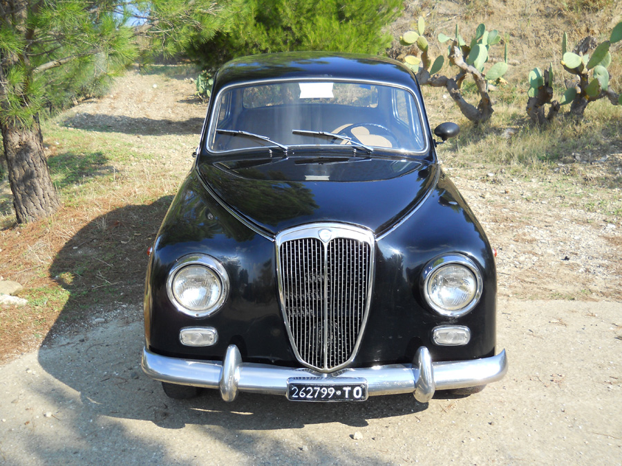 DSCN0813.jpg